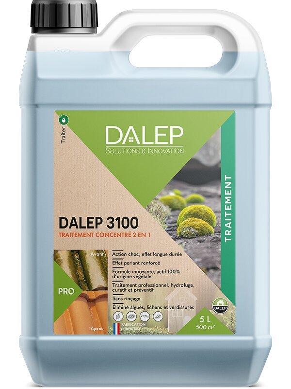 DALEP 3100 Traitement Concentré 2 en 1
